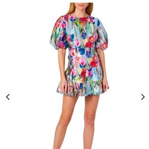 BWT Milly Arlette Tulip Dress Size 12